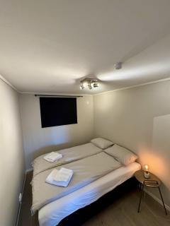 Cozy apartment by sherpa steps with free parking - 4