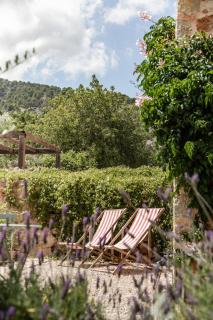 Es Rafal Perfectfinca - 6