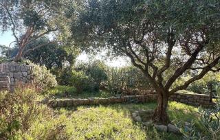 Villa Lucija with pool island Krk by Villas Guide - 5