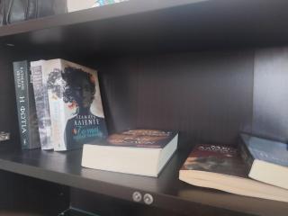 Forest Breeze-1 - JM Rentals - Steni Dirfyos - 1