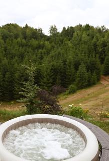 Coniferis - 8