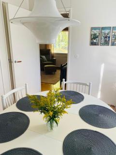 Villa Väinämö - 2