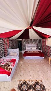 Desert Tree camp&tours - 5