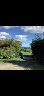 Wisteria cottage - 3