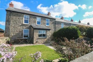 Sea Holly - St. Just - 0