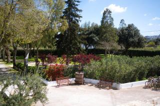 Masseria Del Saliceto - 2