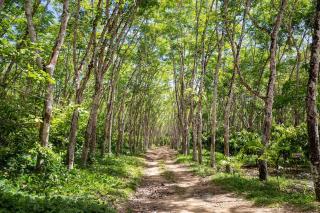 Terral Trancoso - 3