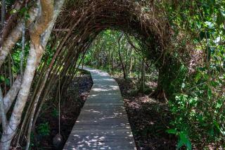 Terral Trancoso - 1