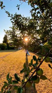 Maison avec grand jardin - Brassac-les-Mines - 7
