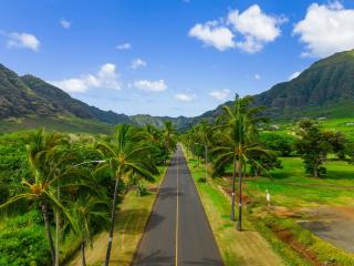 Kalo Homes - Makaha Modern - 1