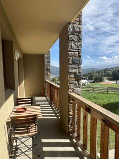 Nid douillet au pied des pistes - 8