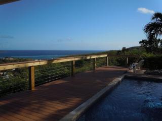 Blue Horizon-Cotton Valley - 4