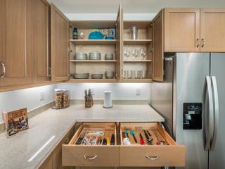 Kalo Homes - Mauka to Makai - 5