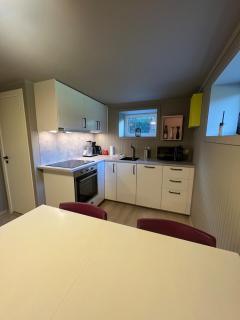 Modern basement apartment - 0