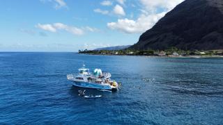 Kalo Homes - Makaha Mountain Hideaway - 1