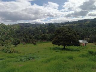 Villa Teresa Ráquira - 4