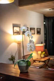 The Glass House Loft - 5