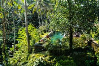Beji Bliss - 3