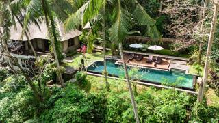 Beji Bliss - 6