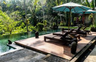 Beji Bliss - 2