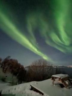 Senja - Charming cottage by the sea with terrace and fantastic view - Finnsnes - 7