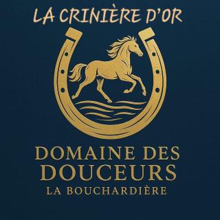 La Crinière d'Or Une chambre raffinée pour une parenthèse de douceur en normandie - 0