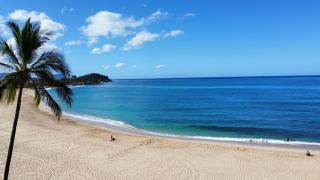 Kalo Homes - Moana Beach Cottage - 7