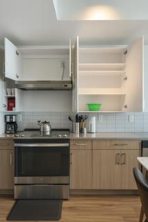 Upscale 2BR Apt Rooftop Deck and Fitness - 3
