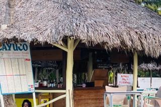 Bonita Beach Villa - 6