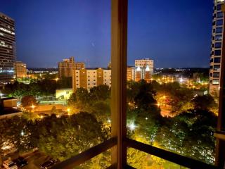 7I 2BR 1BA In the Heart of Downtown Atlanta - 9