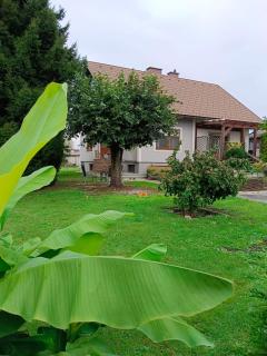 Ferienwohnungen Birgit - Leibnitz - 7