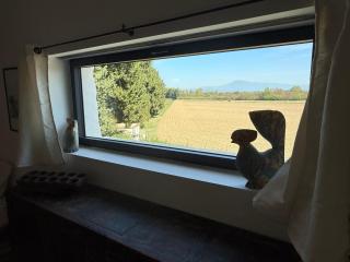 Mas des Figuiers - 2