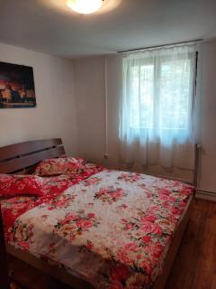 Cabana Mareea -Lunca Bradului - 2