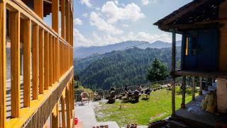 Himalayan Homestay Gadagusain - 2