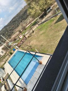 Los Bichos - 1