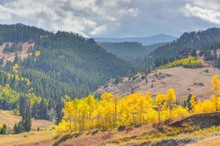 7 Mi to Bighorn Natl Forest Dog-Friendly Home - 8
