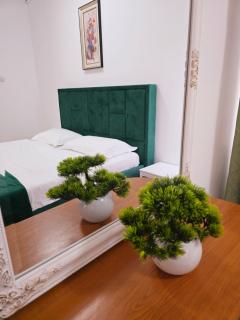 Pensiunea Valea Alba - 6