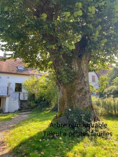 La maison de Maxou - 5