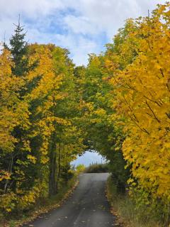 Holiday Home Vile Calimero - 9