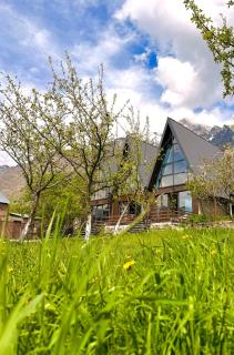 Villa Kazbegi & Cottages - 4
