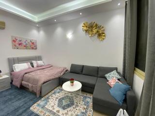 Furnished studio - 3