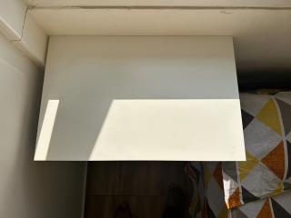 Sadhguru's Grace - Near ISHA Yoga Adiyogi - 5