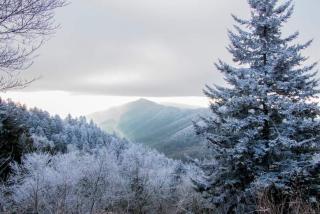 2 Brand New Cabins For Family Retreat! - 3