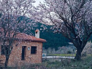 Casas Rurales La Loma - 8