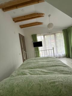 Cabana Bujorului - 6