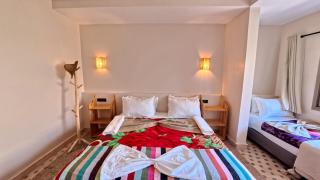 Atlas Berber Lodge - 1