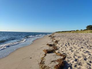 4 person holiday home in Gedser - 4