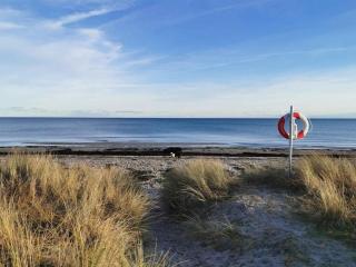 8 person holiday home in Væggerløse - 3