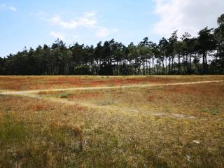 8 person holiday home in Væggerløse - 5