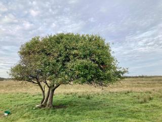 4 person holiday home in Bredebro-By Traum - Bredebro - 1